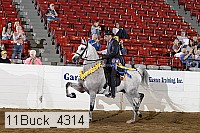 11buck_4314 thumbnail