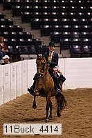 11buck_4414 thumbnail