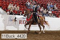 11buck_4420 thumbnail