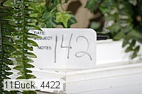 11buck_4422 thumbnail