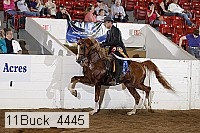 11buck_4445 thumbnail