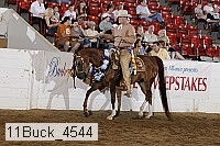 11buck_4544 thumbnail