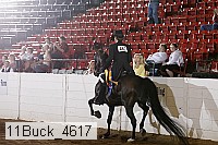 11buck_4617 thumbnail