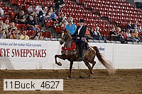 11buck_4627 thumbnail