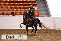 11buck_4711 thumbnail