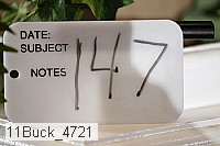 11buck_4721 thumbnail