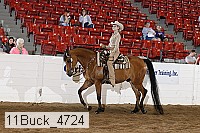 11buck_4724 thumbnail