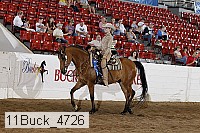 11buck_4726 thumbnail