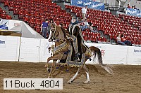 11buck_4804 thumbnail