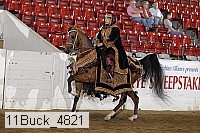 11buck_4821 thumbnail