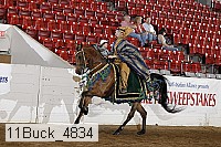 11buck_4834 thumbnail