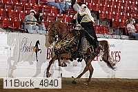 11buck_4840 thumbnail