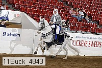 11buck_4843 thumbnail
