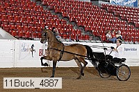 11buck_4887 thumbnail