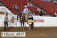 11buck_4917 thumbnail