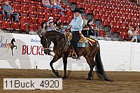 11buck_4920 thumbnail