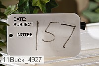 11buck_4927 thumbnail