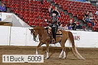 11buck_5009 thumbnail