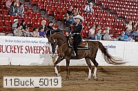 11buck_5019 thumbnail