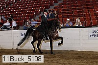 11buck_5108 thumbnail