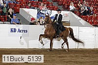 11buck_5139 thumbnail