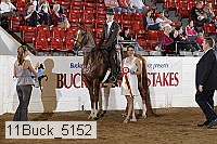 11buck_5152 thumbnail