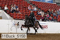 11buck_5158 thumbnail