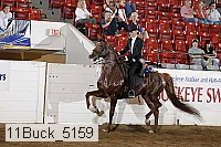11buck_5159 thumbnail