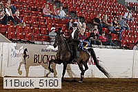 11buck_5160 thumbnail