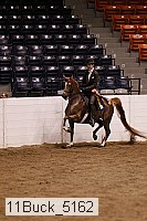 11buck_5162 thumbnail