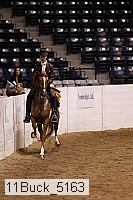11buck_5163 thumbnail
