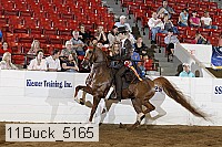 11buck_5165 thumbnail