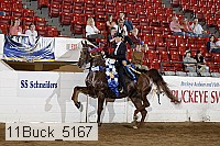 11buck_5167 thumbnail
