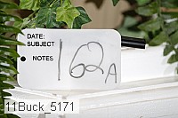 11buck_5171 thumbnail