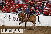 11buck_5181 thumbnail