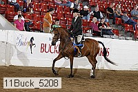 11buck_5208 thumbnail