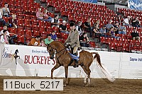 11buck_5217 thumbnail