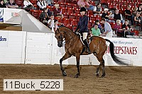 11buck_5228 thumbnail