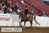 11buck_5263 thumbnail