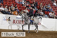 11buck_5278 thumbnail