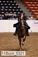11buck_5321 thumbnail