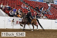 11buck_5340 thumbnail