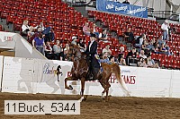 11buck_5344 thumbnail