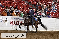 11buck_5404 thumbnail