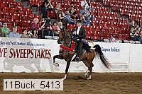 11buck_5413 thumbnail