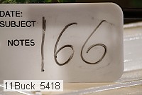 11buck_5418 thumbnail