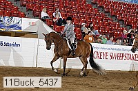 11buck_5437 thumbnail