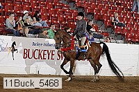 11buck_5468 thumbnail