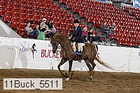 11buck_5511 thumbnail