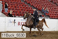 11buck_5530 thumbnail